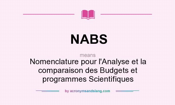 What does NABS mean? It stands for Nomenclature pour l`Analyse et la comparaison des Budgets et programmes Scientifiques