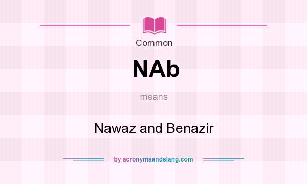 What does NAb mean? It stands for Nawaz and Benazir