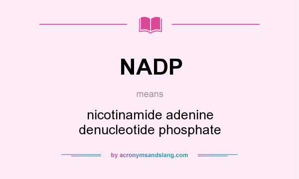 What does NADP mean? It stands for nicotinamide adenine denucleotide phosphate