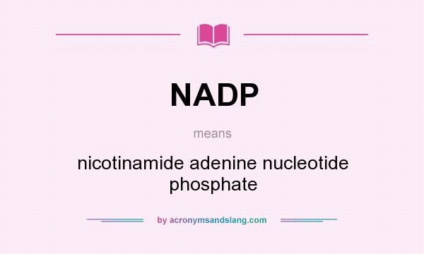 What does NADP mean? It stands for nicotinamide adenine nucleotide phosphate