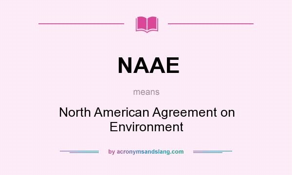 What does NAAE mean? It stands for North American Agreement on Environment