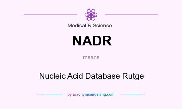 What does NADR mean? It stands for Nucleic Acid Database Rutge