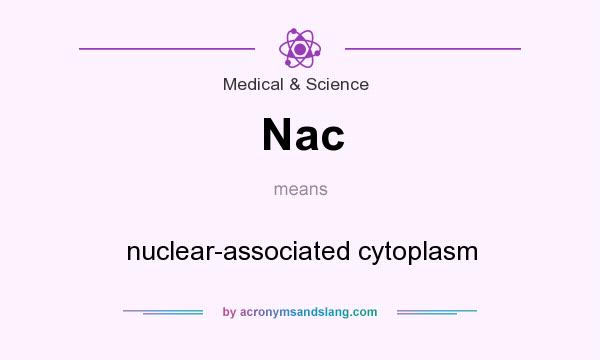 What does Nac mean? It stands for nuclear-associated cytoplasm