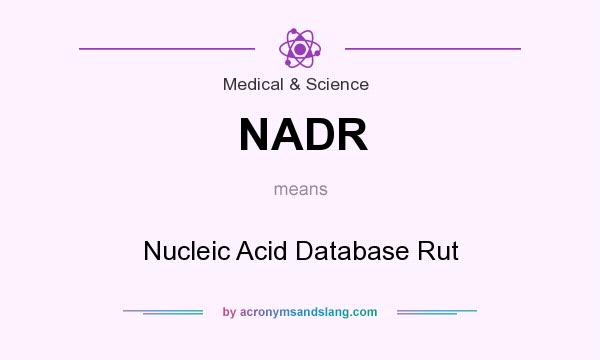 What does NADR mean? It stands for Nucleic Acid Database Rut