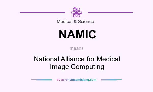 What does NAMIC mean? It stands for National Alliance for Medical Image Computing
