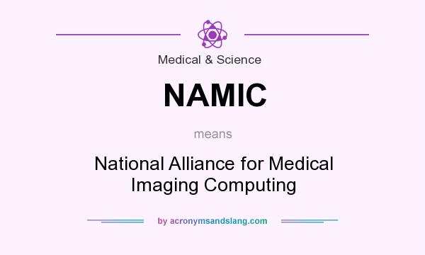 What does NAMIC mean? It stands for National Alliance for Medical Imaging Computing