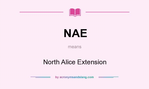 What does NAE mean? It stands for North Alice Extension