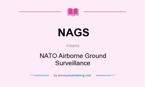 What does NAGS mean? It stands for NATO Airborne Ground Surveillance
