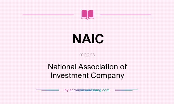 What does NAIC mean? It stands for National Association of Investment Company