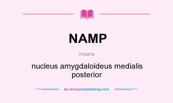 What does NAMP mean? It stands for nucleus amygdaloideus medialis posterior