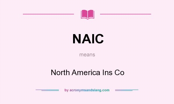 What does NAIC mean? It stands for North America Ins Co