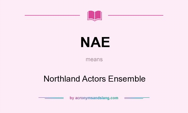 What does NAE mean? It stands for Northland Actors Ensemble