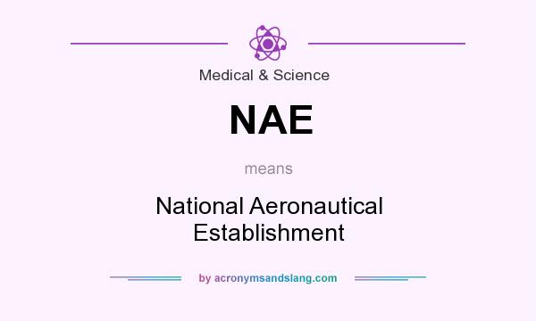 What does NAE mean? It stands for National Aeronautical Establishment
