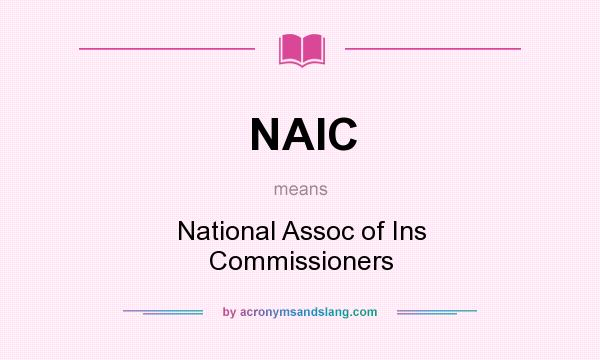 What does NAIC mean? It stands for National Assoc of Ins Commissioners