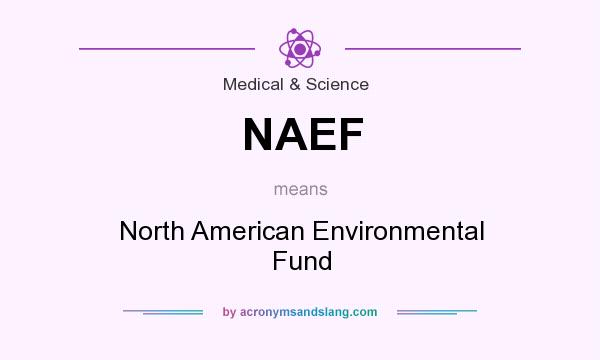 What does NAEF mean? It stands for North American Environmental Fund