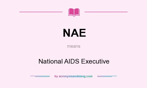 What does NAE mean? It stands for National AIDS Executive