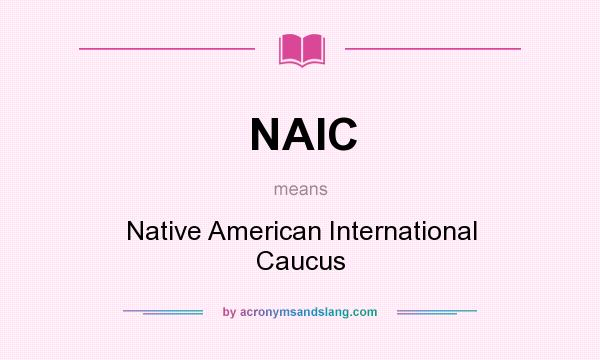What does NAIC mean? It stands for Native American International Caucus