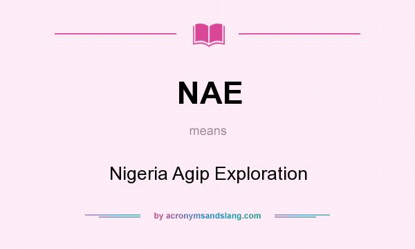 What does NAE mean? It stands for Nigeria Agip Exploration