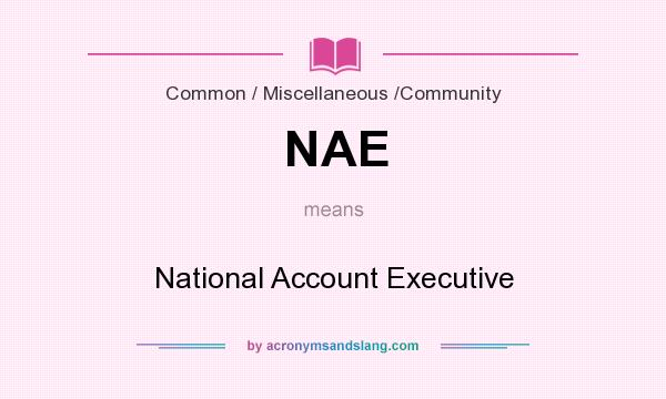 What does NAE mean? It stands for National Account Executive
