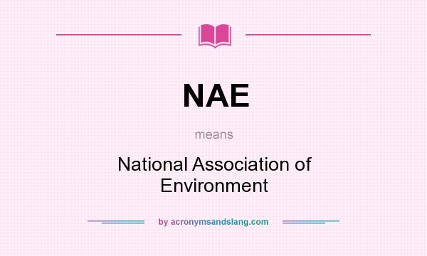 What does NAE mean? It stands for National Association of Environment