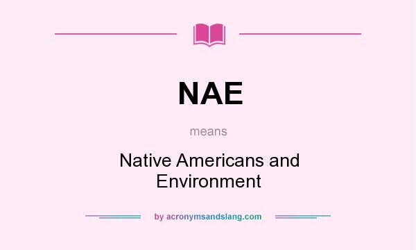 What does NAE mean? It stands for Native Americans and Environment