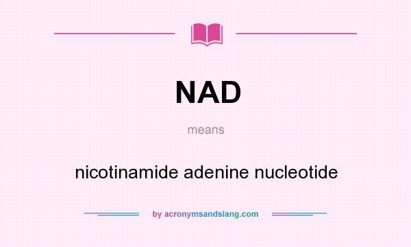 What does NAD mean? It stands for nicotinamide adenine nucleotide