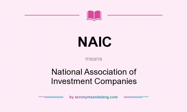 What does NAIC mean? It stands for National Association of Investment Companies