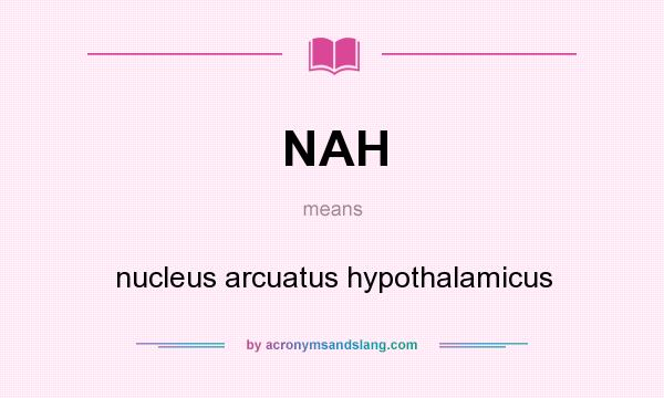 What does NAH mean? It stands for nucleus arcuatus hypothalamicus