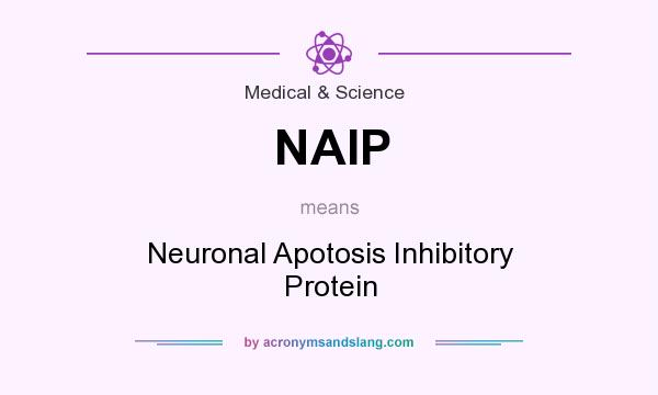What does NAIP mean? It stands for Neuronal Apotosis Inhibitory Protein
