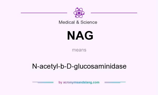 What does NAG mean? It stands for N-acetyl-b-D-glucosaminidase