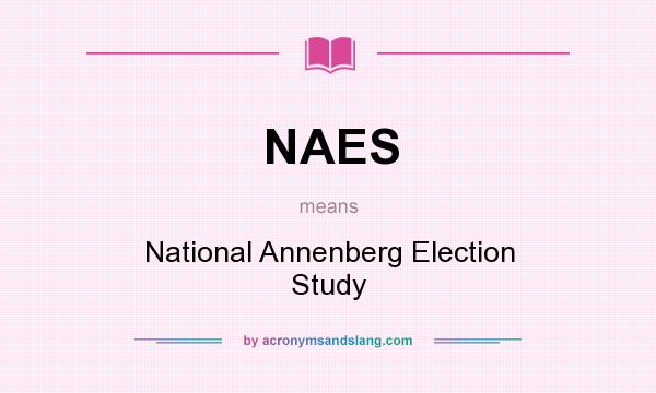 What does NAES mean? It stands for National Annenberg Election Study