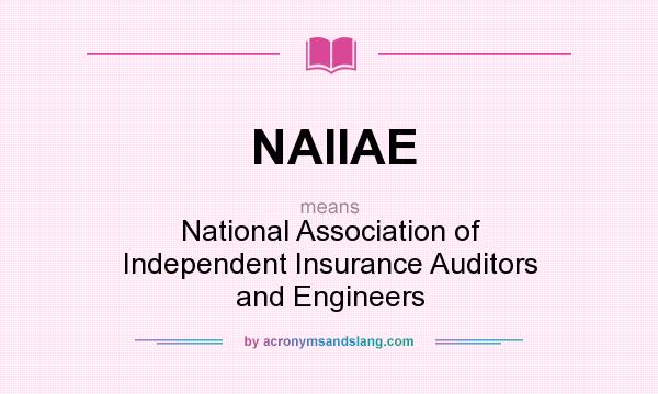 What does NAIIAE mean? It stands for National Association of Independent Insurance Auditors and Engineers