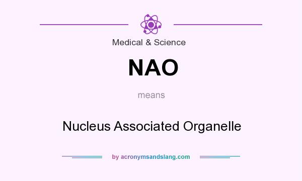 What does NAO mean? It stands for Nucleus Associated Organelle