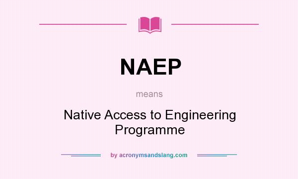 What does NAEP mean? It stands for Native Access to Engineering Programme