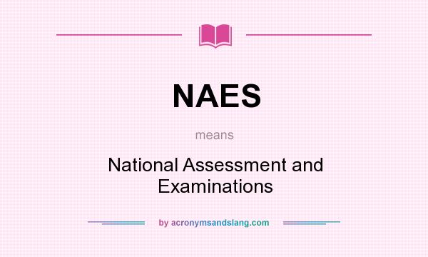 What does NAES mean? It stands for National Assessment and Examinations