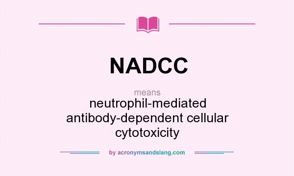 What does NADCC mean? It stands for neutrophil-mediated antibody-dependent cellular cytotoxicity