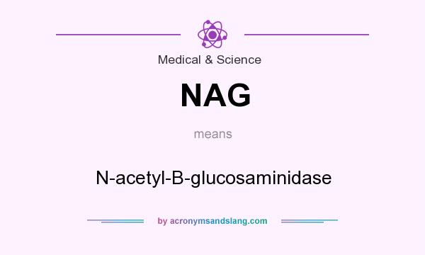 What does NAG mean? It stands for N-acetyl-B-glucosaminidase