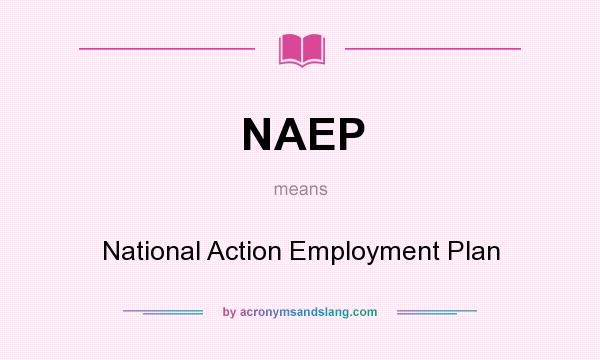 What does NAEP mean? It stands for National Action Employment Plan