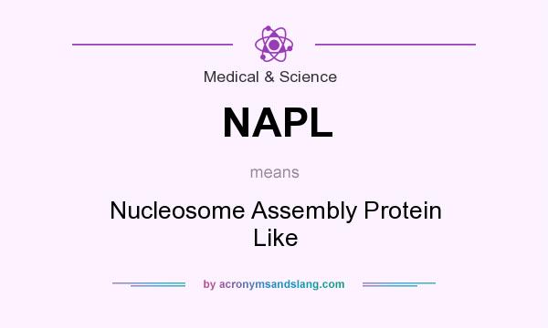 What does NAPL mean? It stands for Nucleosome Assembly Protein Like