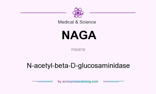 What does NAGA mean? It stands for N-acetyl-beta-D-glucosaminidase
