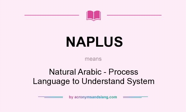 What does NAPLUS mean? It stands for Natural Arabic - Process Language to Understand System