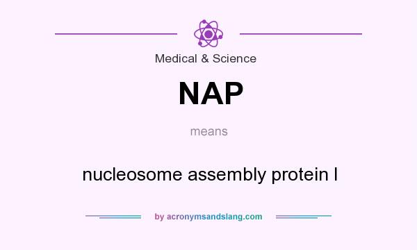 What does NAP mean? It stands for nucleosome assembly protein I