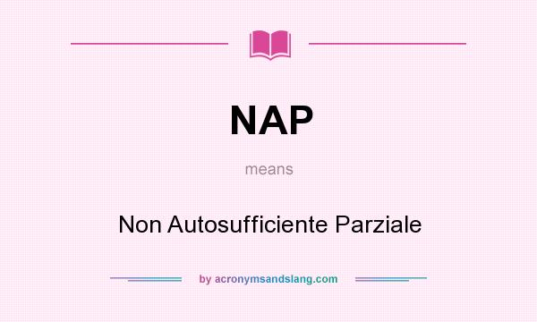 What does NAP mean? It stands for Non Autosufficiente Parziale