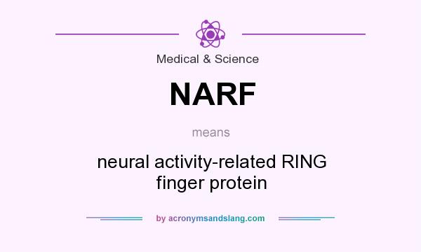 What does NARF mean? It stands for neural activity-related RING finger protein