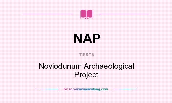 What does NAP mean? It stands for Noviodunum Archaeological Project