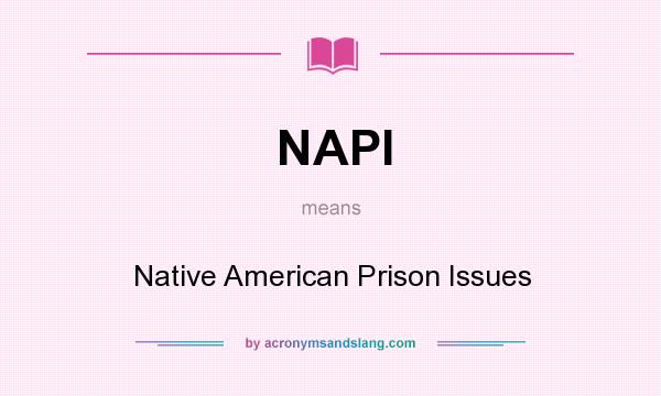 What does NAPI mean? It stands for Native American Prison Issues