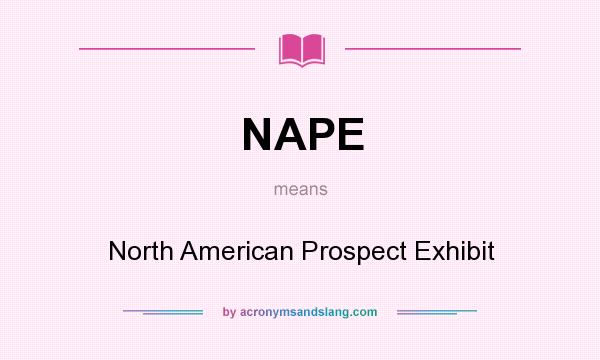 What does NAPE mean? It stands for North American Prospect Exhibit