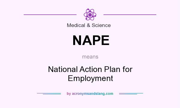 What does NAPE mean? It stands for National Action Plan for Employment