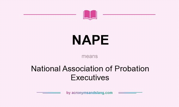 What does NAPE mean? It stands for National Association of Probation Executives
