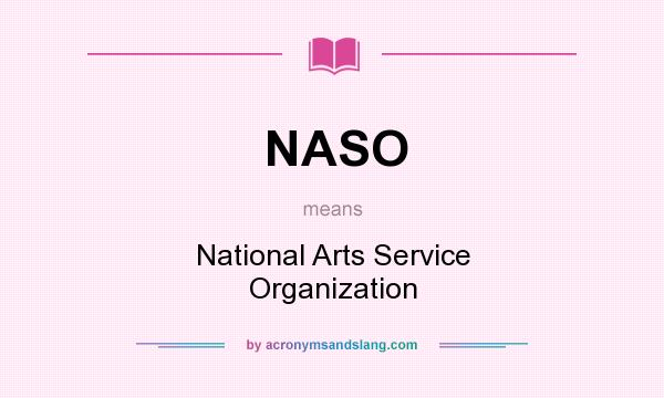What does NASO mean? It stands for National Arts Service Organization